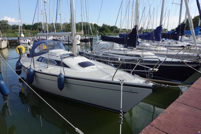 Dehler 31