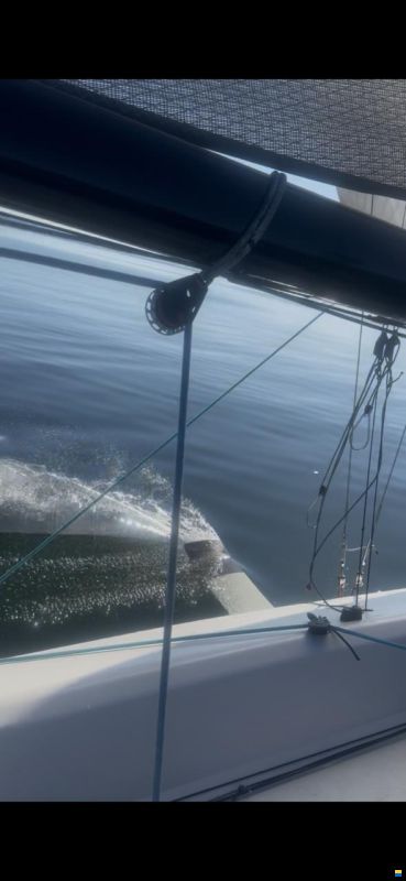 Quant Q23 Scow Foiler