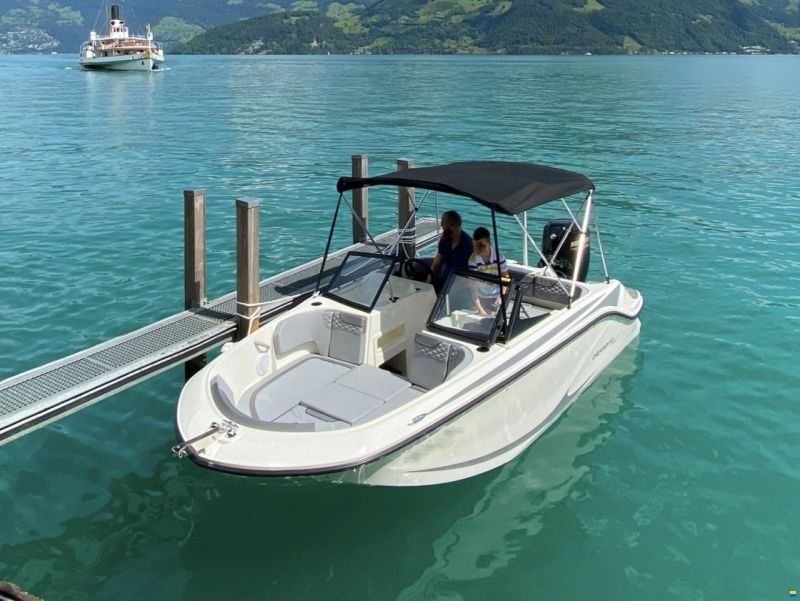 Bayliner Element M17