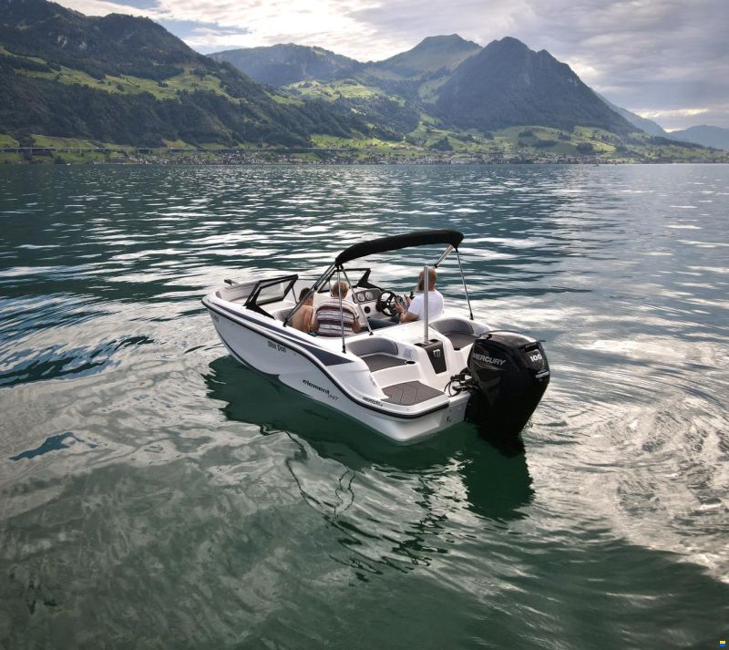Bayliner Element M17