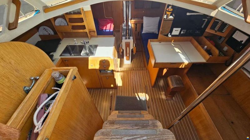 JFA PETREL 42