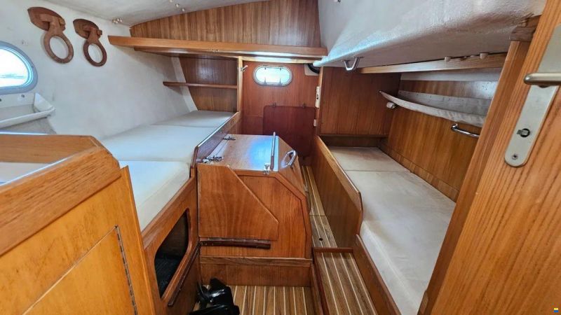 JFA PETREL 42
