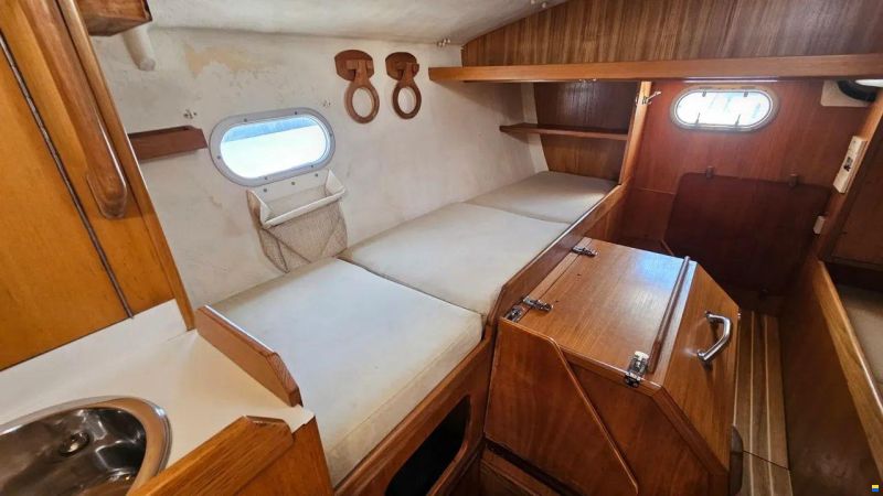 JFA PETREL 42