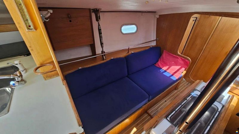 JFA PETREL 42