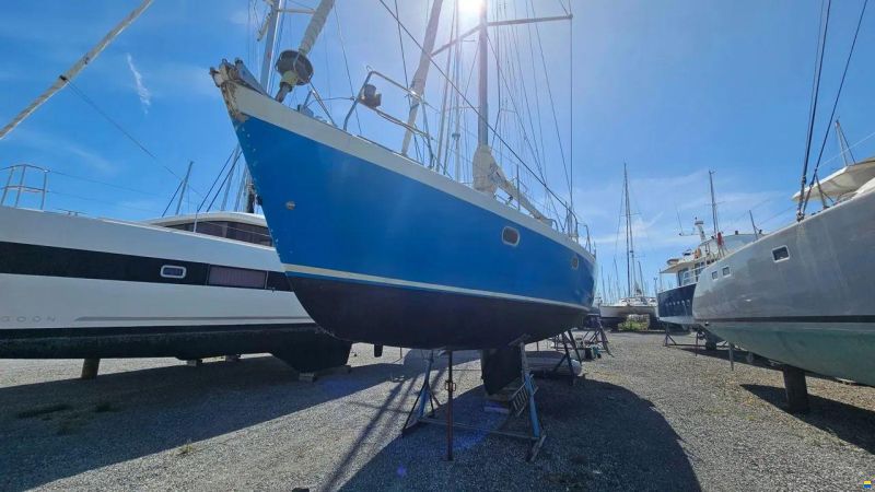 JFA PETREL 42