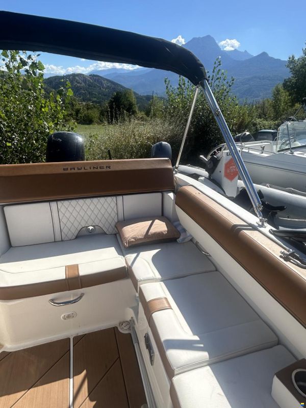 Bayliner DX2000