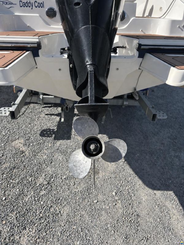 Bayliner DX2000