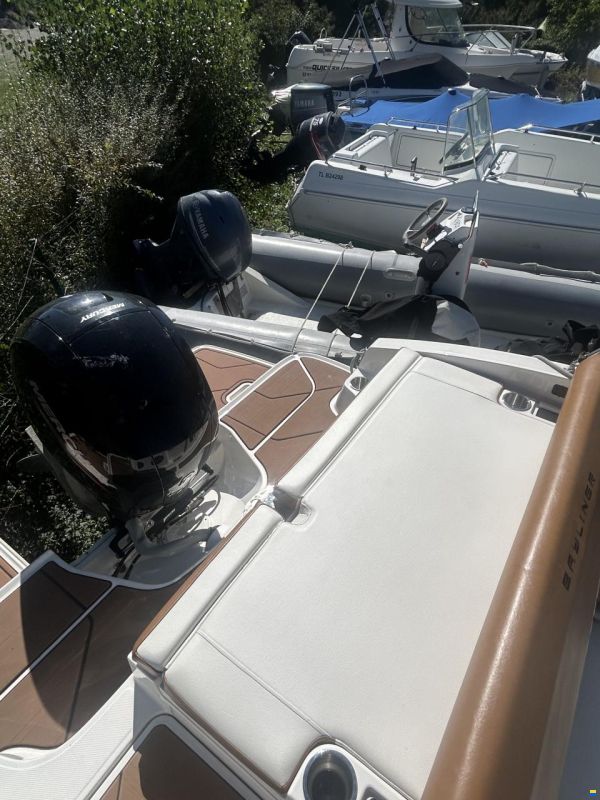 Bayliner DX2000
