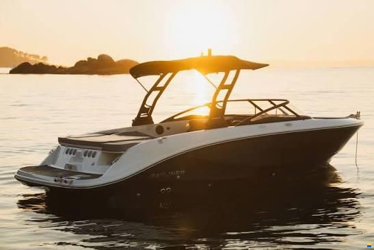 Bayliner V22i Wakeboard