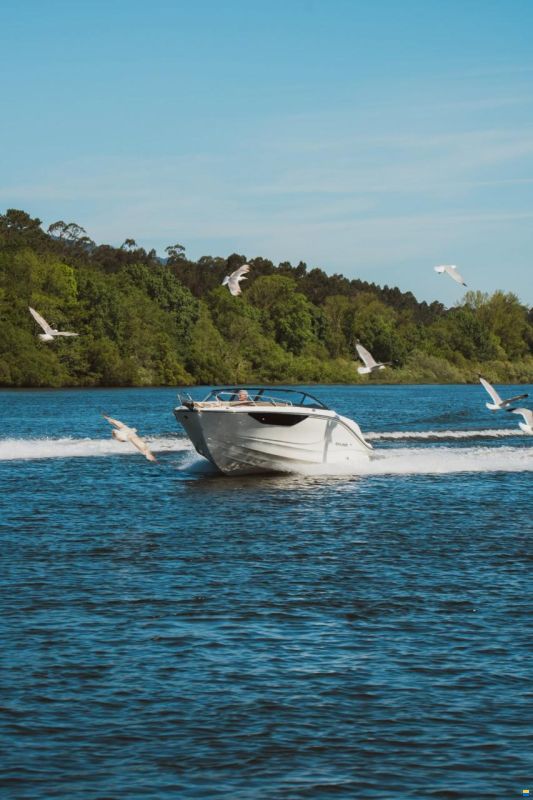 Bayliner V22i Wakeboard