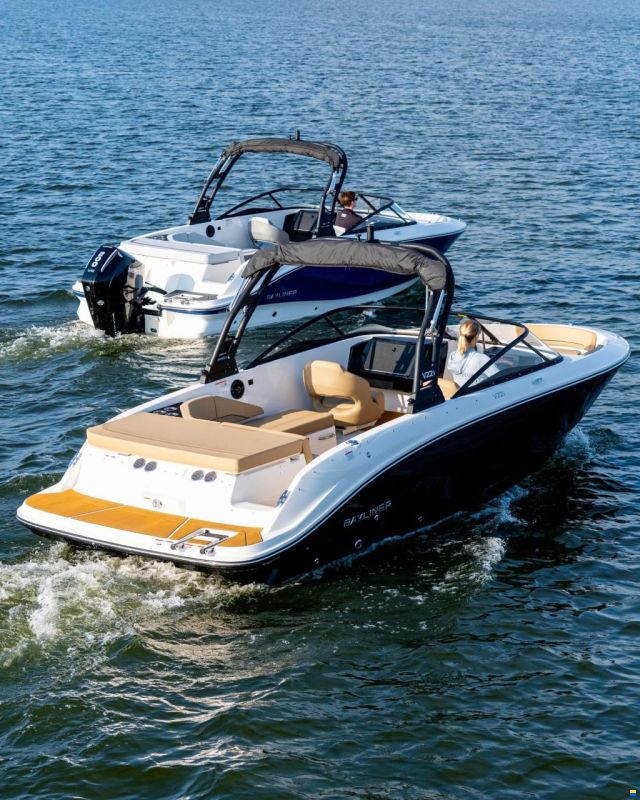 Bayliner V22i Wakeboard