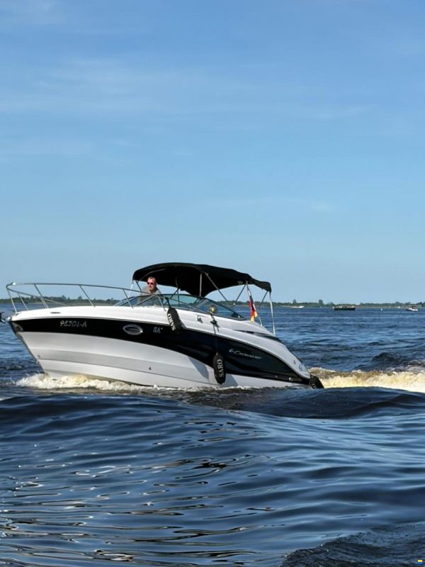 Crownline 264 CR