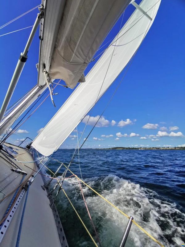 OL Boats International 1006