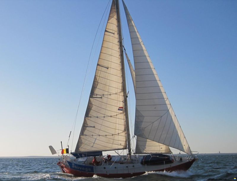 Sauvage 36