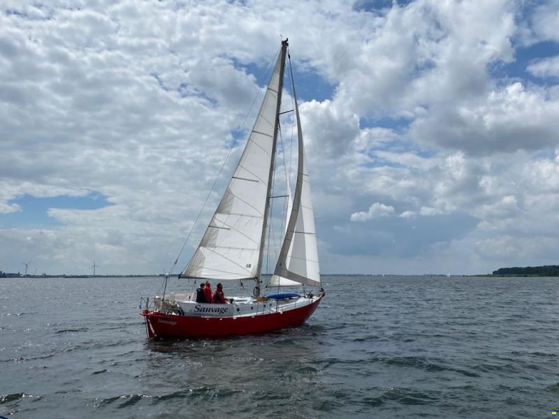 Sauvage 36