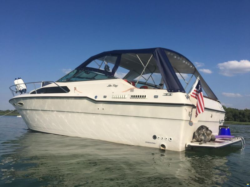Sea Ray 300