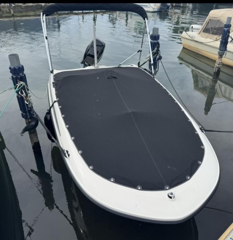 Bayliner M15