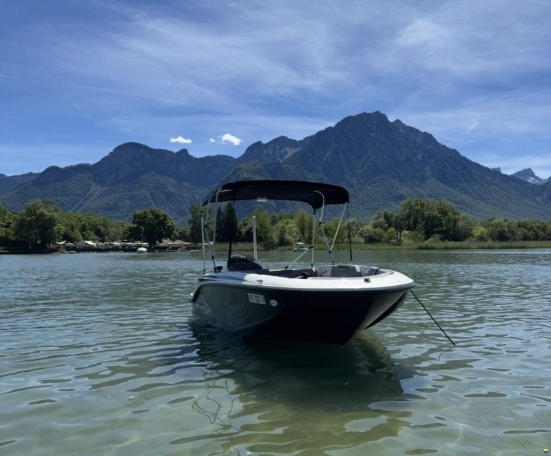 Bayliner M15