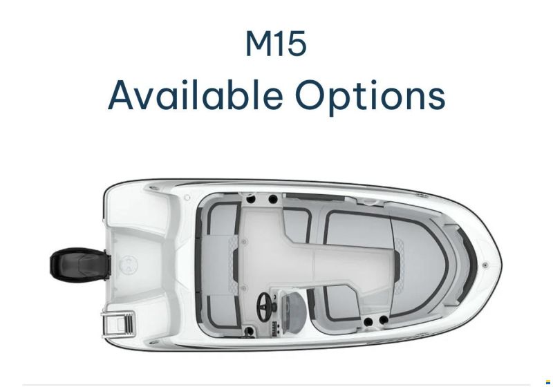 Bayliner M15