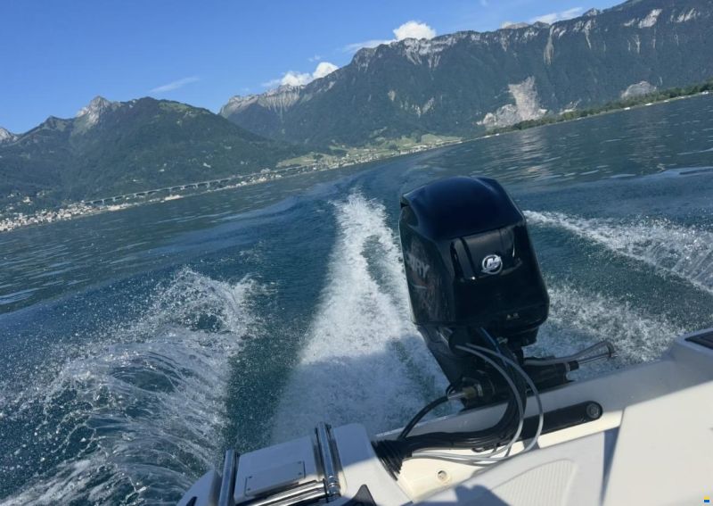 Bayliner M15