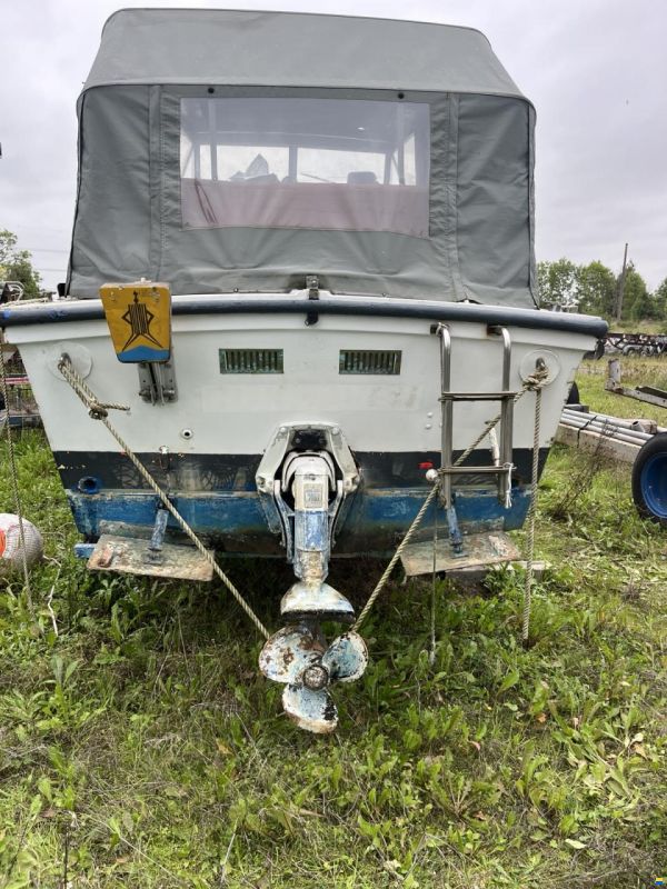 Fjord Ancas Queen 24