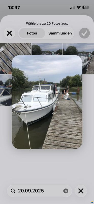 Fjord Ancas Queen 24