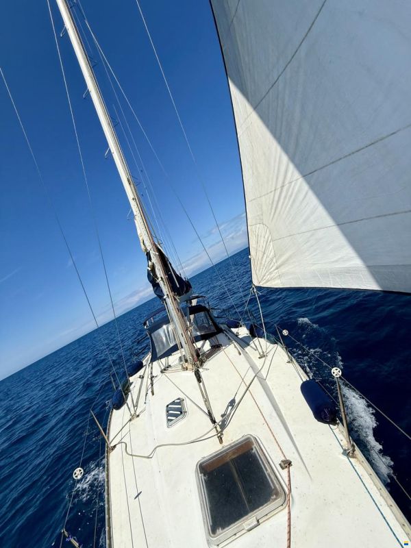 Canados 37