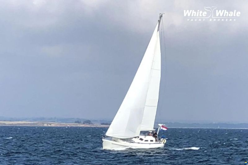 Northern Comfort 43
