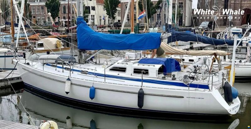 Northern Comfort 43