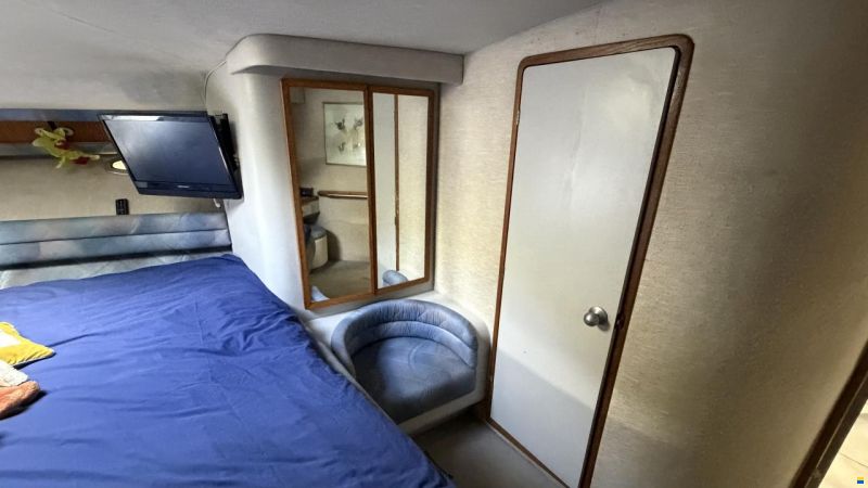 Sea Ray sundancer 480