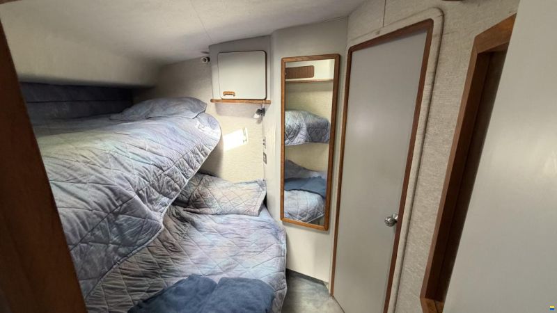 Sea Ray sundancer 480
