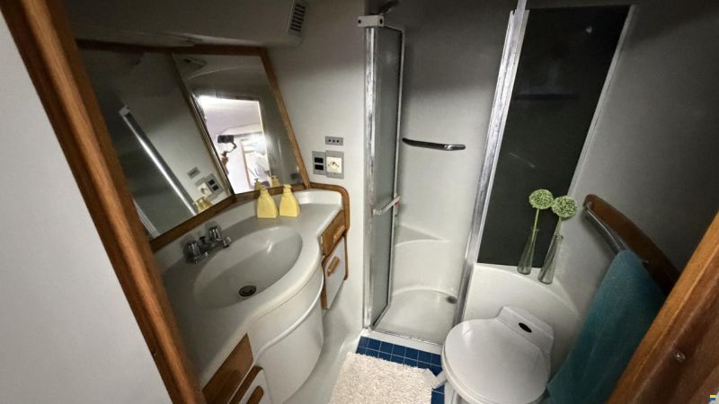 Sea Ray sundancer 480