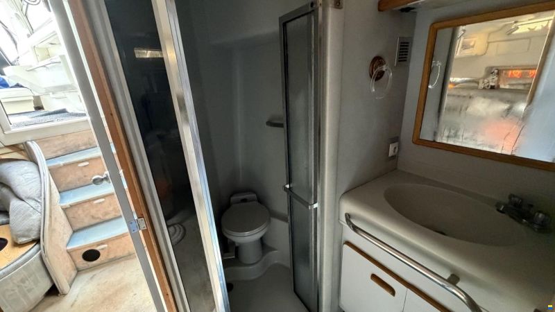 Sea Ray sundancer 480