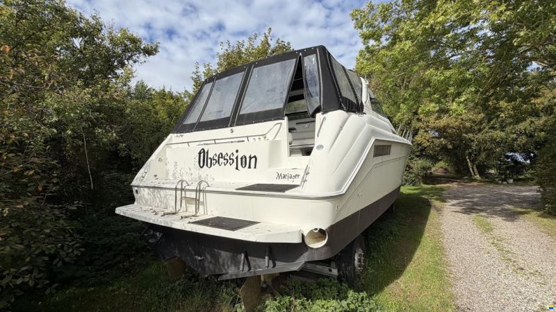 Sea Ray sundancer 480