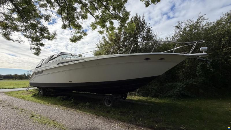 Sea Ray sundancer 480