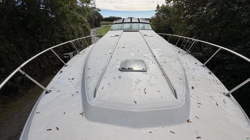 Sea Ray sundancer 480