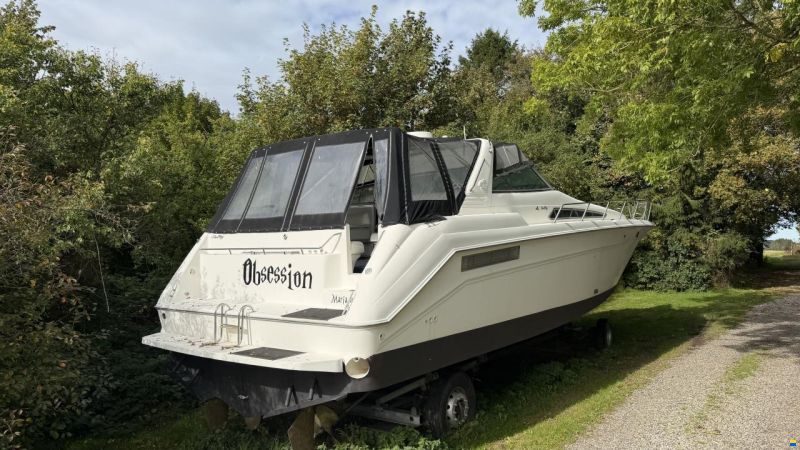 Sea Ray sundancer 480