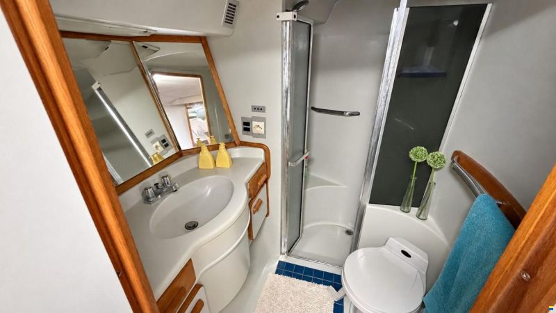 Sea Ray sundancer 480