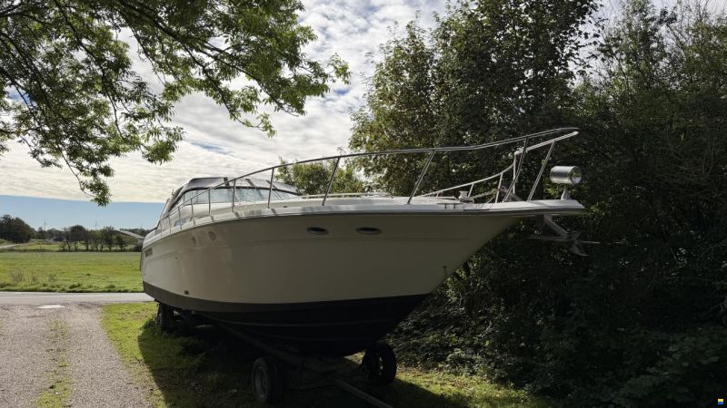 Sea Ray sundancer 480