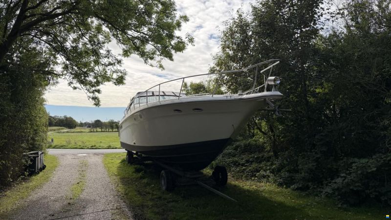 Sea Ray sundancer 480