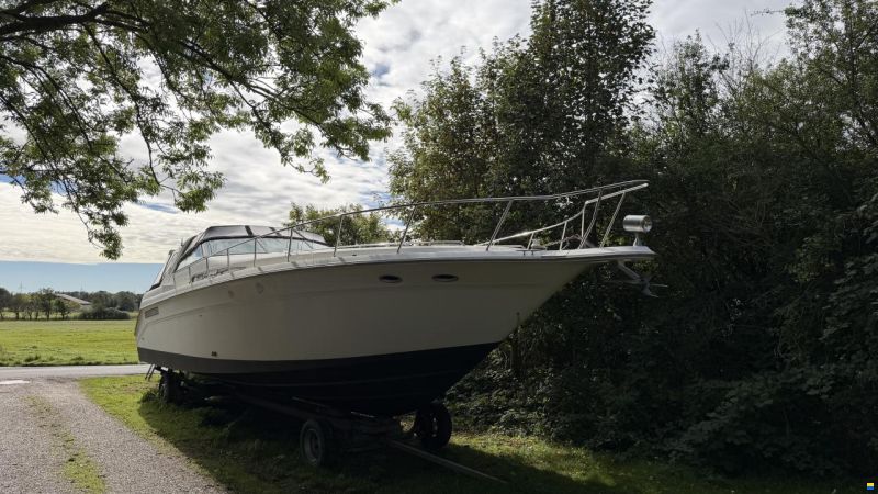 Sea Ray sundancer 480