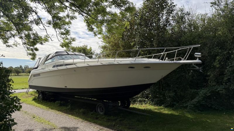 Sea Ray sundancer 480