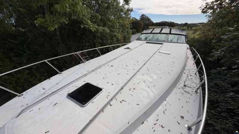 Sea Ray sundancer 480