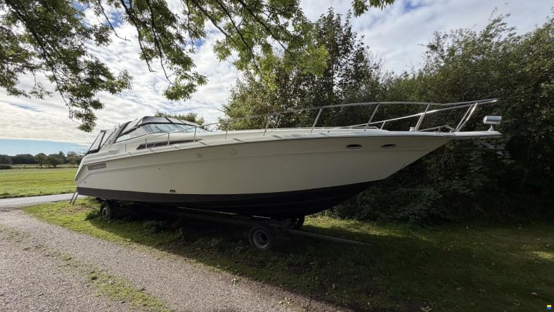 Sea Ray sundancer 480