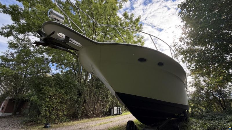 Sea Ray sundancer 480