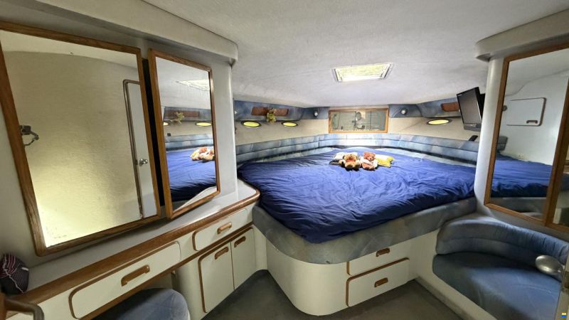 Sea Ray sundancer 480