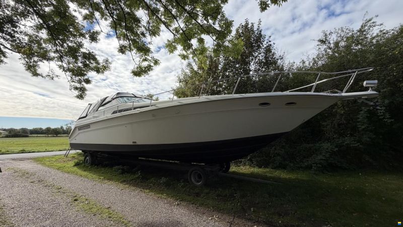 Sea Ray sundancer 480