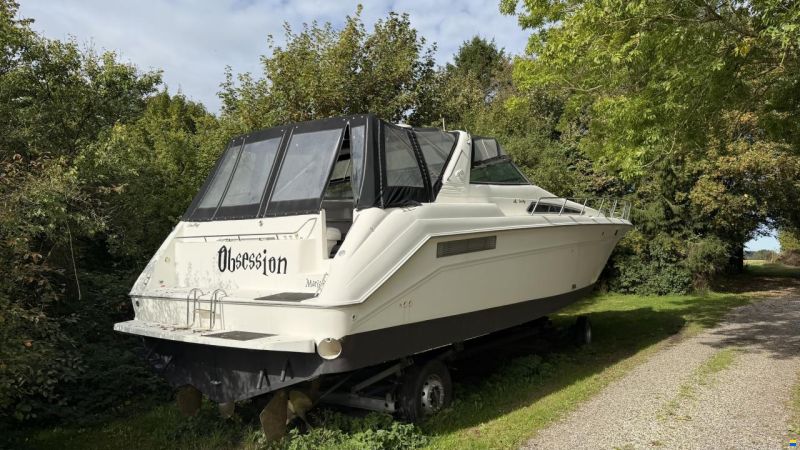 Sea Ray sundancer 480