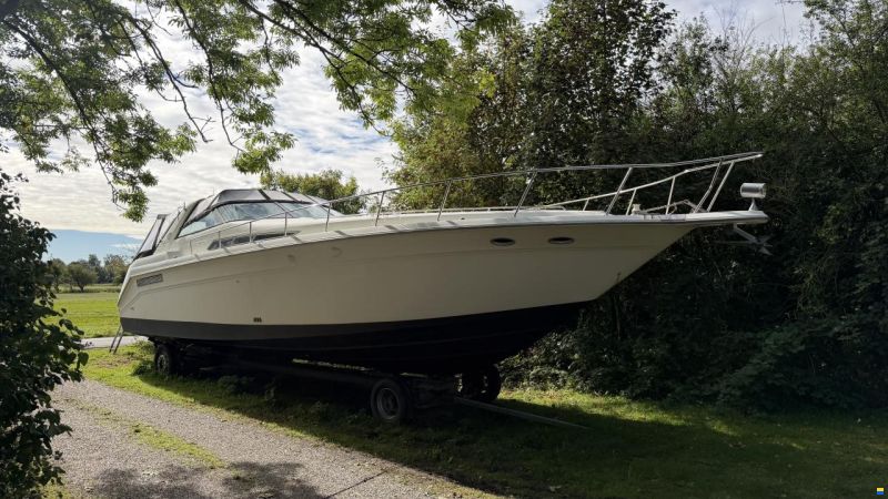 Sea Ray sundancer 480