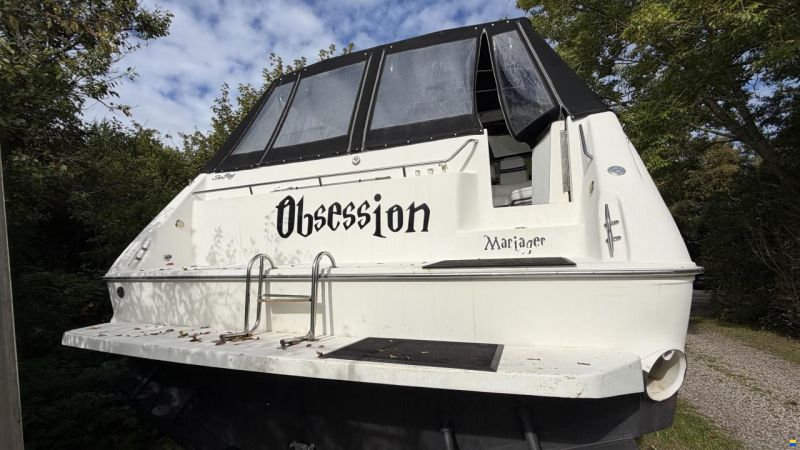 Sea Ray sundancer 480